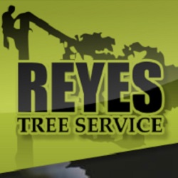 Image for Reyes Tree Service with ID of: 5464708