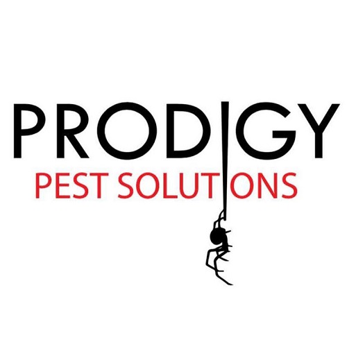 Image for Prodigy Pest Solutions with ID of: 5468249