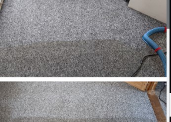 Image for ED'S CARPET CLEANING with ID of: 5468254