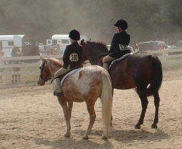Image for HORSE SHOWS at Somewhere Farm with ID of: 5469