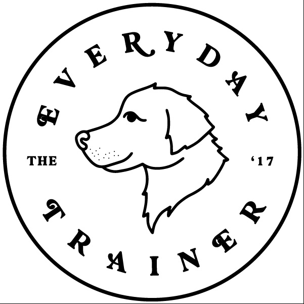 Image for The Everyday Trainer with ID of: 5469257