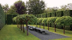 Image for D Randall Landscapes with ID of: 5470471