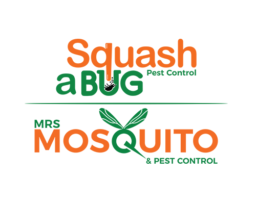 Image for Squash A Bug with ID of: 5479283