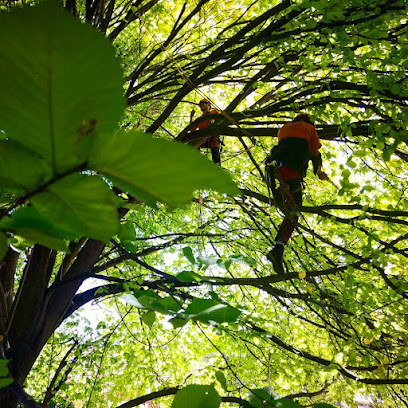 Image for Gervis Tree services with ID of: 5482666