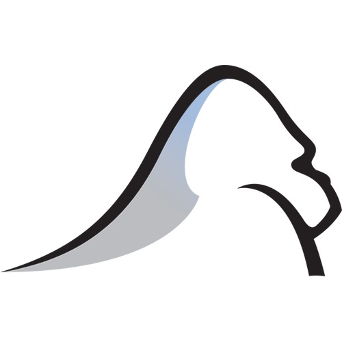 Image for Silverback Strategies with ID of: 5487848