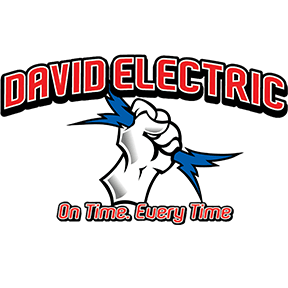 Image for David Electric with ID of: 5493101