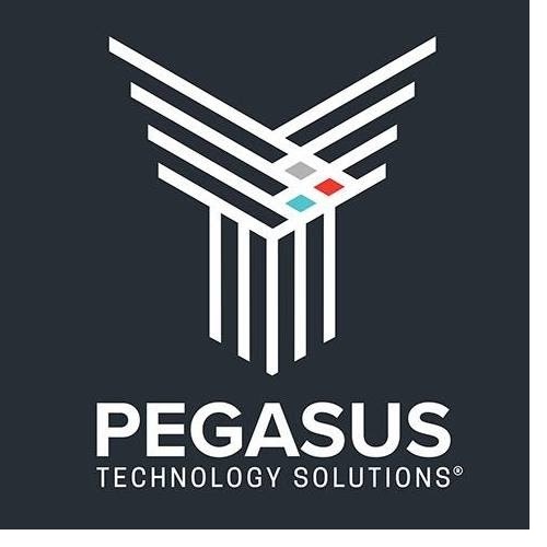 Image for Pegasus Technology Solutions with ID of: 5500292