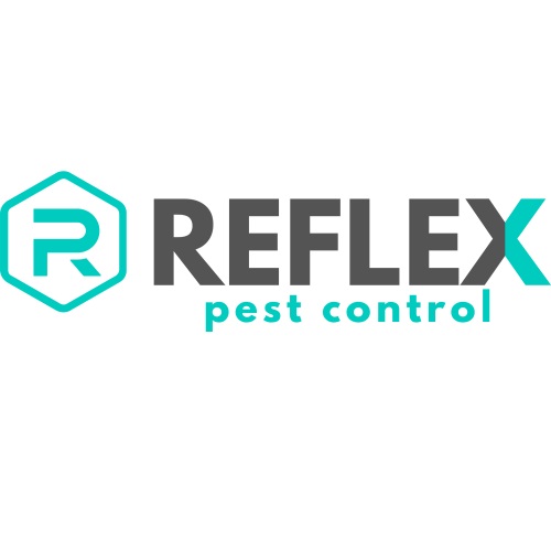 Image for Reflex Pest Control with ID of: 5501495