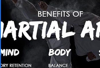Image for PMA Mixed Martial Arts with ID of: 5505044