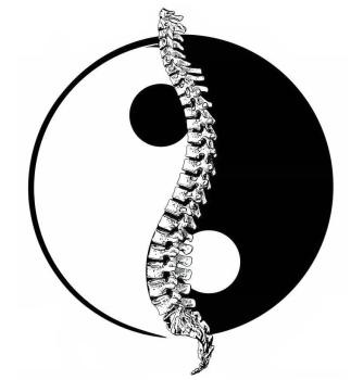 Image for Chiropractic Health Performance with ID of: 5505103