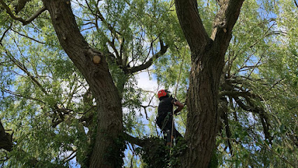 Image for Ormskirk Tree Solutions with ID of: 5505396