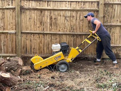 Image for Four Seasons Tree Surgery with ID of: 5513019