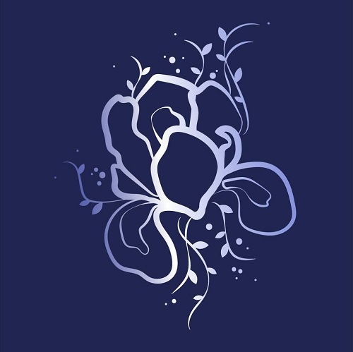 Image for Iris Wellness Group with ID of: 5514869