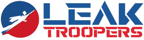 Image for Leak Troopers with ID of: 5514944