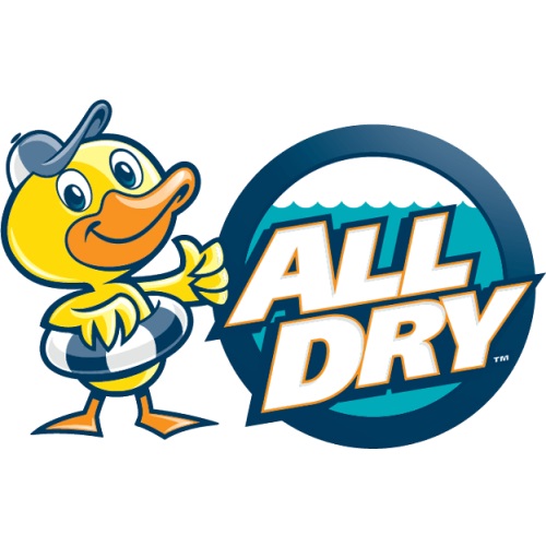 Image for All Dry Services with ID of: 5520087