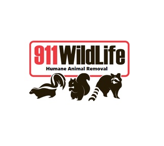 Image for 911 Wildlife with ID of: 5522745