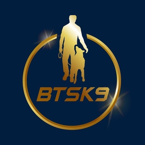 Image for BTS K9 Dog Training with ID of: 5524436
