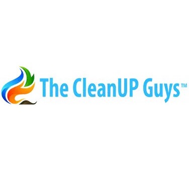 Image for The CleanUP Guys with ID of: 5527264