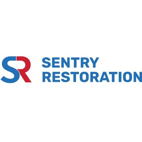 Image for Sentry Restoration with ID of: 5534698