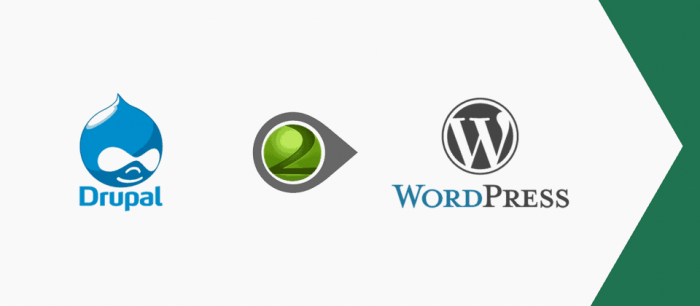 Image for Web Development Services And Convert Drupal To WordPress! with ID of: 5538085