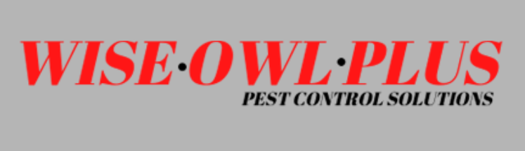 Image for Wise Owl Plus with ID of: 5539452