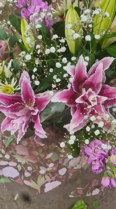 Image for Fingal Flowers with ID of: 5540510