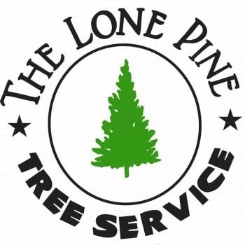Image for The Lone Pine Tree Service with ID of: 5541070