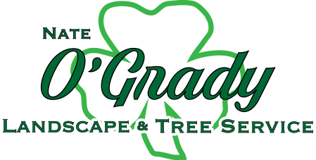 Image for Nate O'Grady Landscape & Tree Service with ID of: 5545480