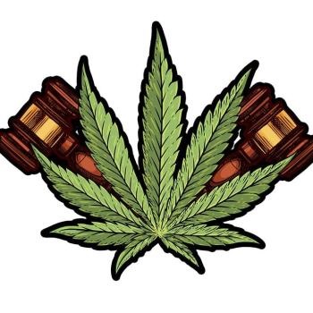 Image for Cannabis Industry Lawyer with ID of: 5548482