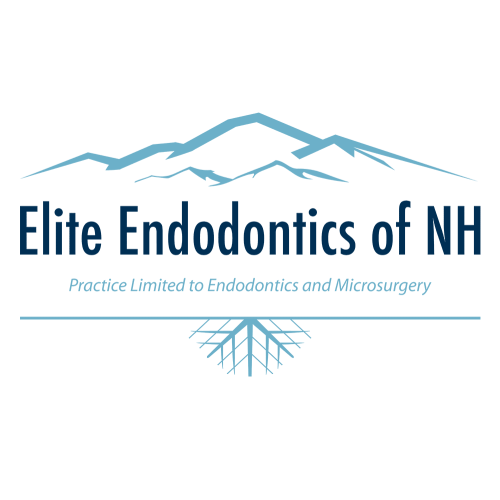 Image for Elite Endodontics of NH with ID of: 5556044