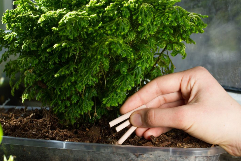 Image for Fertilizer Sticks Market Analysis, Demand, Scope, Share, Size, Opportunities & Forecast with ID of: 5559753