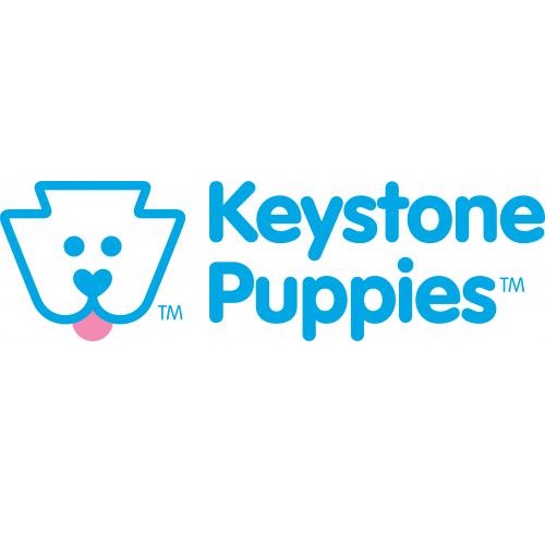 Image for Keystone Puppies with ID of: 5564349