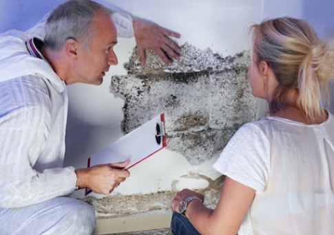 Image for Kingview Building Inspections with ID of: 5574636