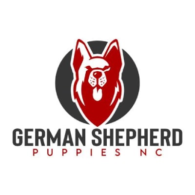 Image for German Shepherd Puppies NC with ID of: 5578540