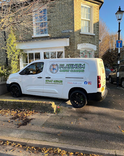 Image for Platinum Carpet Cleaning Ltd with ID of: 5581019