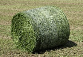 Image for Net Wrap with ID of: 5582351