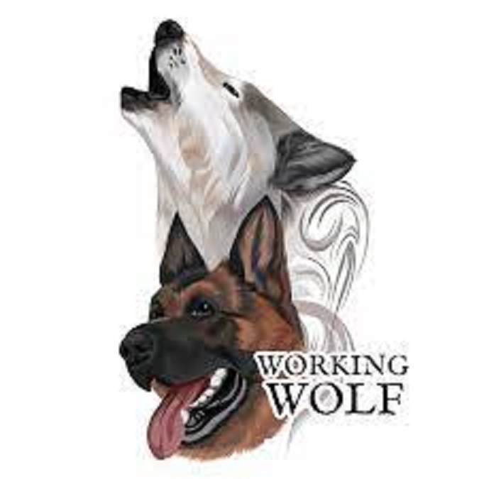 Image for Working Wolf Dog Training with ID of: 5582769