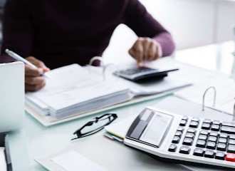 Image for Accountant PAL with ID of: 5582785