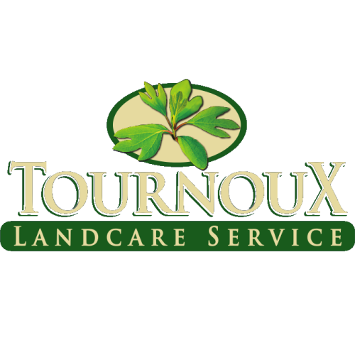 Image for Tournoux Landcare Service with ID of: 5585391