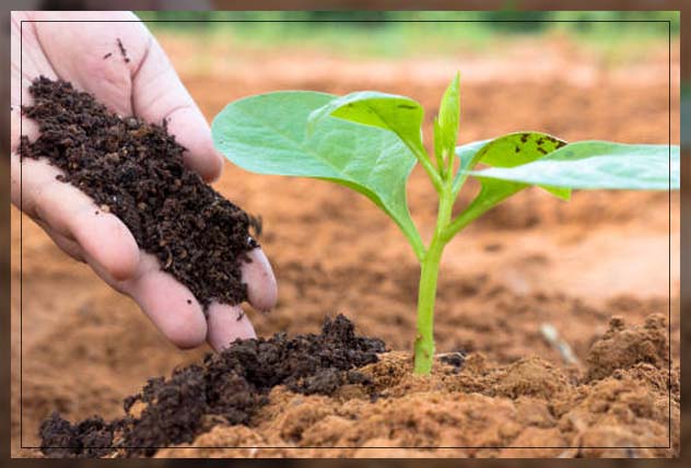 Image for Asia Pacific Soil Conditioners Market Analysis, Share, Trends, Demand, Size, Opportunity & Forecast with ID of: 5588166