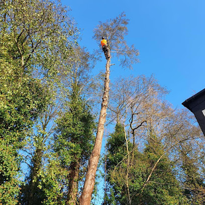 Image for Morris Tree Care with ID of: 5593327
