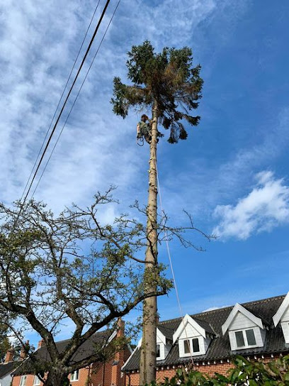 Image for D Meadows Tree Surgery with ID of: 5607027