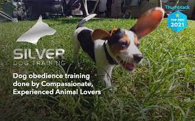 Image for Silver Dog Training LLC with ID of: 5608373