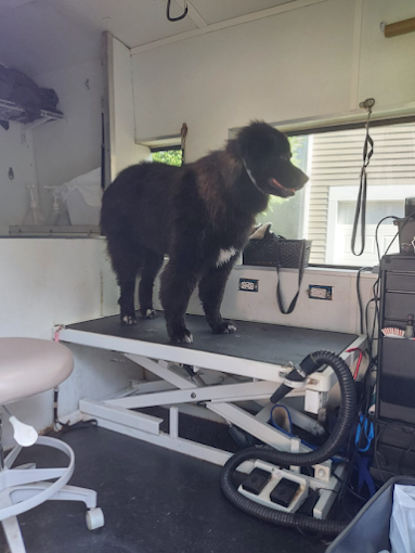 Image for Red Rover Mobile Grooming with ID of: 5611031