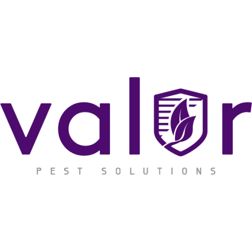 Image for Valor Pest Solutions with ID of: 5611487