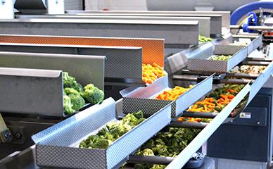 Image for India Fruit & Vegetables Processing Market 2025: Emerging Opportunities | TechSci Research with ID of: 5612347