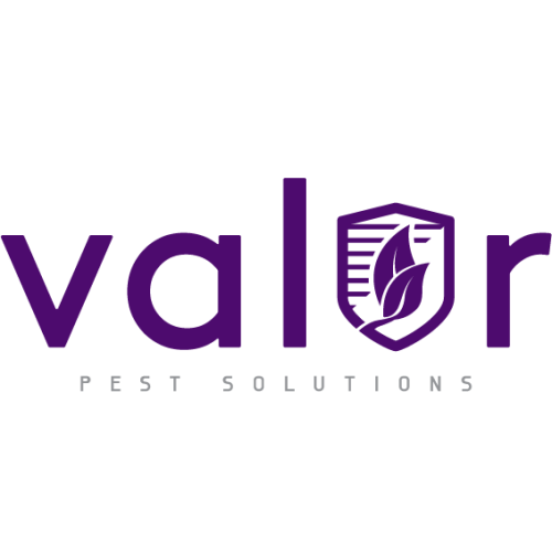 Image for Valor Pest Solutions Maple Grove with ID of: 5614336