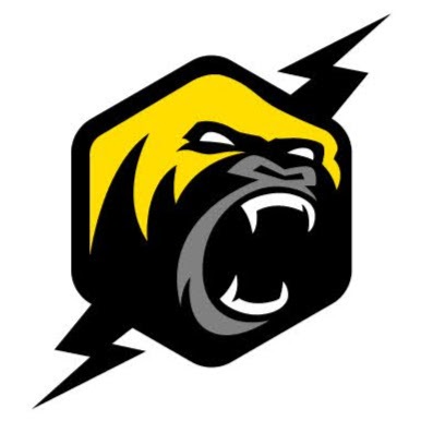 Image for Gorilla Voltage with ID of: 5614731