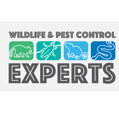 Image for Wildlife & Pest Control Experts with ID of: 5617736