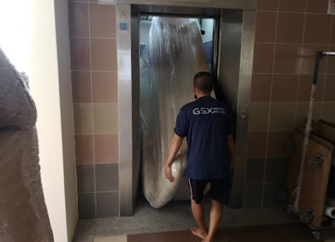 Image for GSX Moving Pte Ltd with ID of: 5624171
